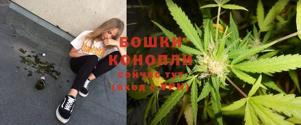 экстази Белокуриха